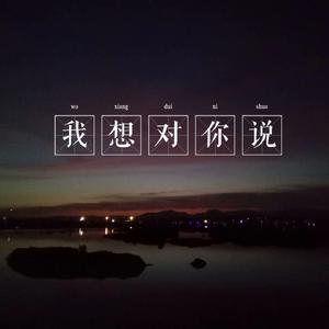 我想对你说