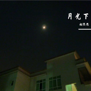 月光下