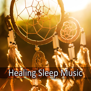 Wellnes (Music for Sleeping)