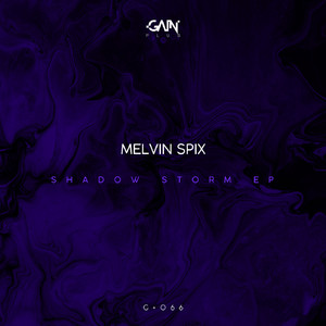 Shadow Storm (Original Mix)