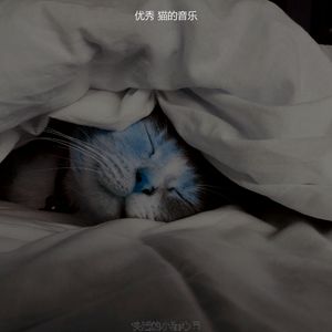 抚慰的睡猫回忆