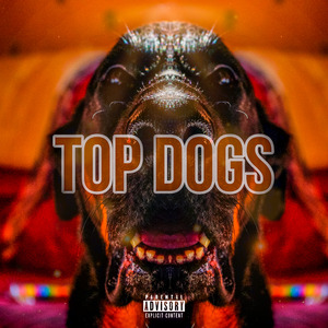 TOP DOGS