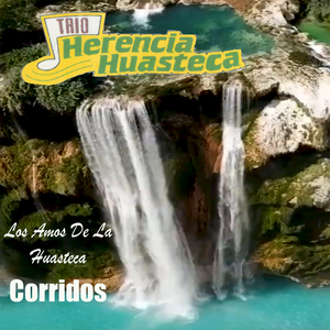 El Hijo De La Tisnada