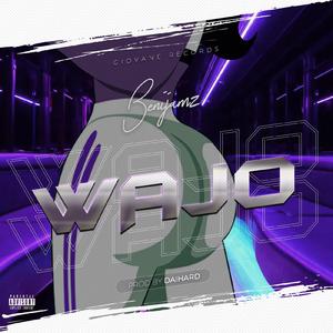 Wajo