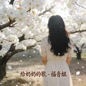 给奶奶的歌 DJ涵哈版