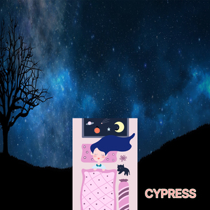 Chopin:17 Chants Polonais Op.74 – VIII. Śliczny Chłopiec