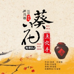 葵花点穴手 (DJ光年版)