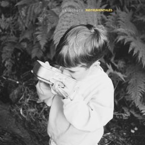 OISEAU (INSTRUMENTALE)