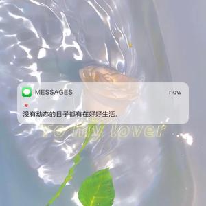 阿拉斯加海湾（片段）