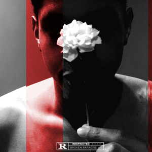 Broken Paradise