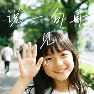说一句再见 (刘 Remix)