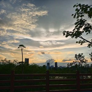 夜的狂欢