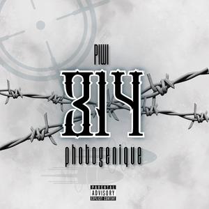 314 (photogènique)