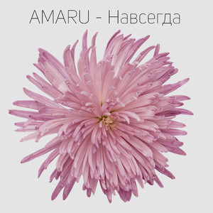 Навсегда