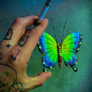 Shelve me with secret song