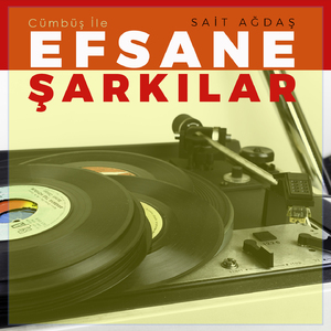 Ayva Çiçek Açmış