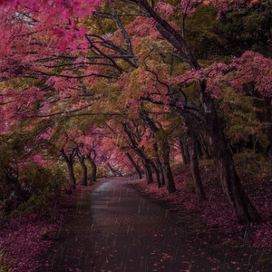 Apple Glow In The Dark