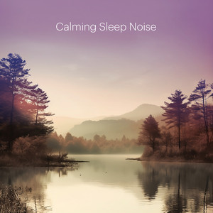Calming Sleep Noise, Pt. 30