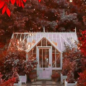 让生命燃烧的火花