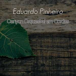 Canyon Orquestral em Cordas
