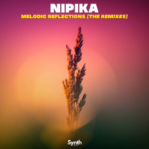 Dance With Me (Pouls3n Remix)