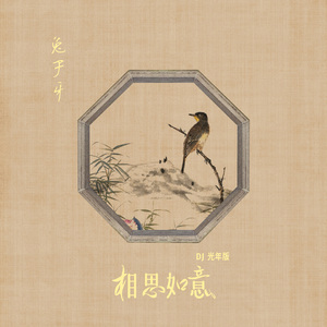 相思如意 (DJ版)