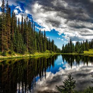 מוזיקת מדיטציה להרגעה, מנגינה היוצרת אווירה שקטה ונעימה במיוחד