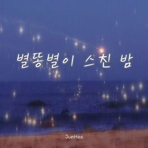 별똥별이 스친 밤（流星划过夜空）