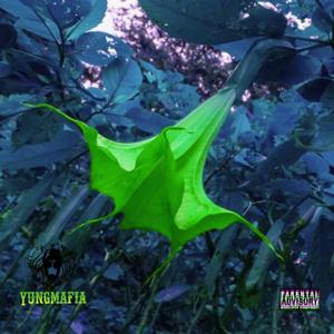 SXPT (feat. Sachy)