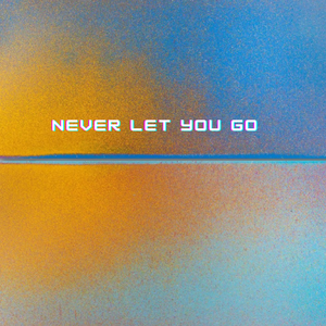Never let you go