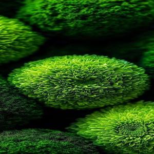 Я б кричала мамо, мамо