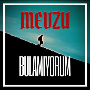 Bulamıyorum