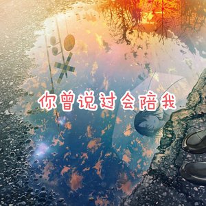 你曾说过会陪我