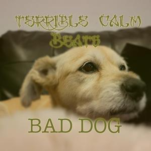 Bad Dog