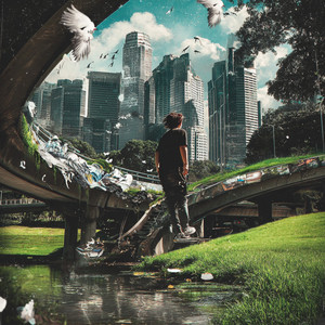 Wandering Dreams of the Cove