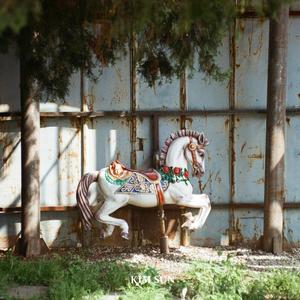 사라질 것들에 대하여