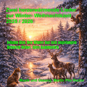 Der Winter hat sich angefangen