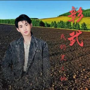 彰武我的黑土地