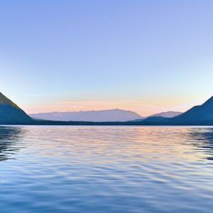 风信子的约定 (萧)