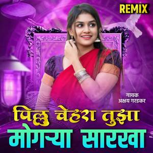 Pillu Tuza Chehara Mogarya Sarkha (Remix) 9