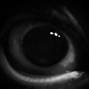 Ciliary