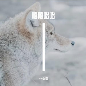 閲戝睘璺敱鍣ㄤ箰绔