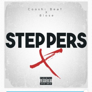 Steppers