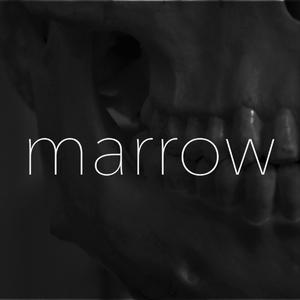 marrow (instrumental)