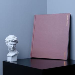 Billie Eilish-Bellyache（NNLIU / 鹿先生Music / I2090 remix）