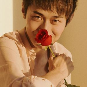 世界撞我满怀星光