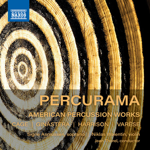 Concerto for Violin and Percussion Orchestra:III. Allegro vigoroso, poco presto
