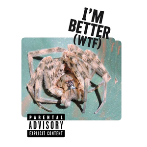 I’m Better (Wtf )