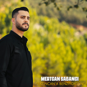 Erzincan'a Benziyorsun