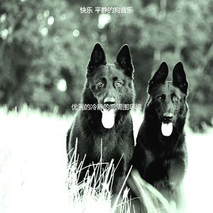 安静的放松的狗声音